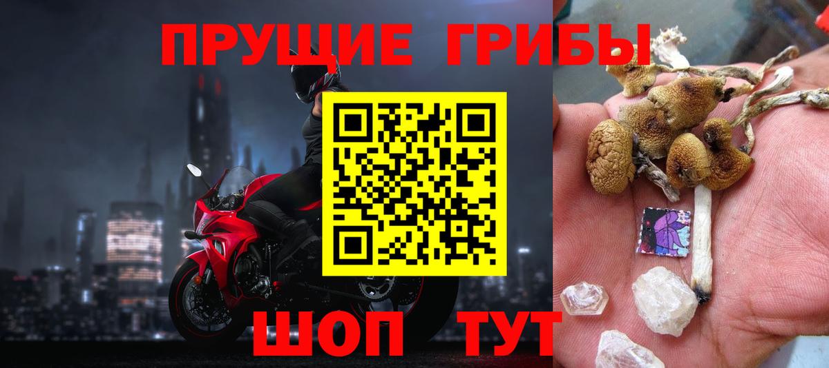 Ливны  Псилоцибиновые грибы Psilocybine cubensis  Вход с VPN 